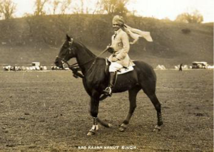 Polo at Dunster Castle