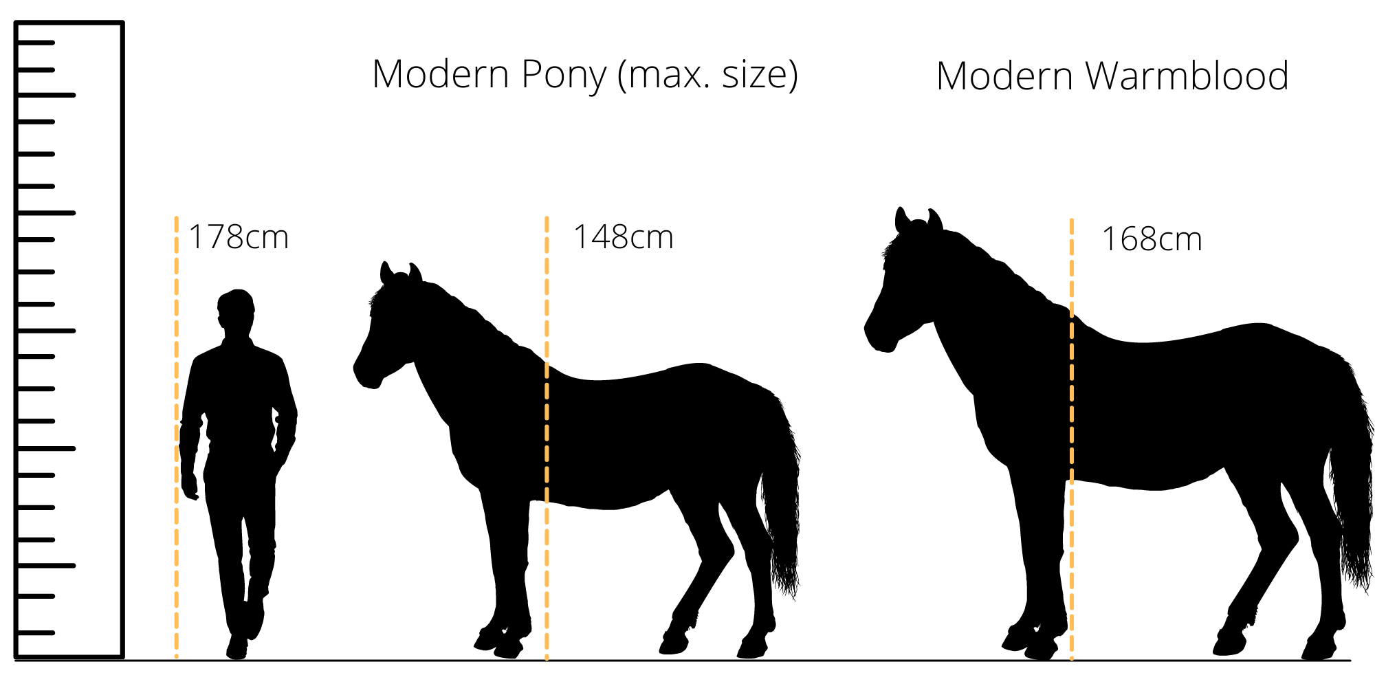 silhouettes of a human, a horse and a pony next to a scale to show relative sizes.