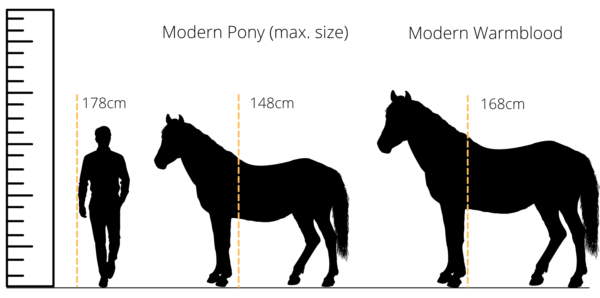 scale horse